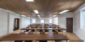 acoustic timber slatted ceilings