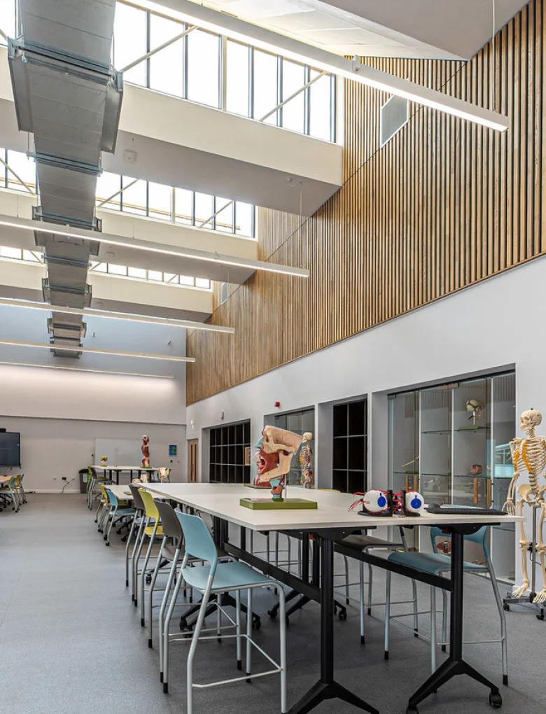 Wall and Ceiling Panel Systems for Berrows House at University of Worcester