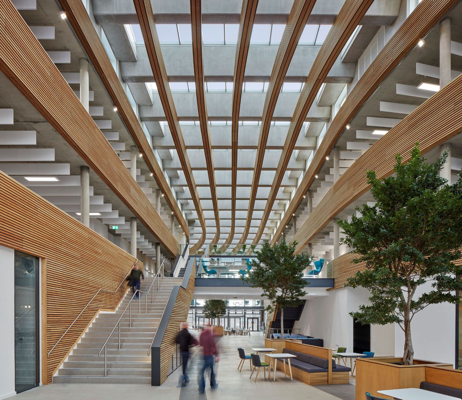 Timber Slat cladding on baffles running the length of UKHO Building