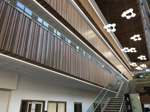 Acoustic wood walls and ceilings over staircase at The Science and Health Building at Coventry University