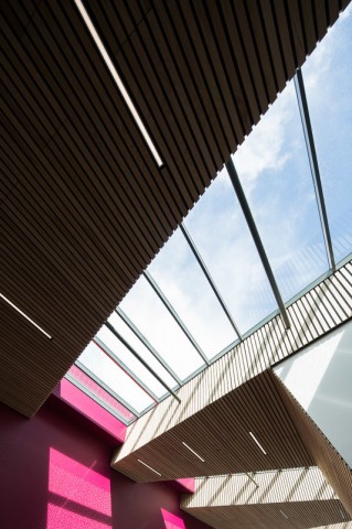 Close up view of BCL Timber slat ceiling