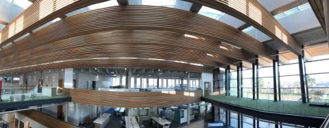 Curved timber clad baffles suspended from the ceiling at UKHO